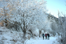 Turisti na turistickom chodn&iacute;ku pri Hrebienku vo Vysok&yacute;ch Tatr&aacute;ch 25. decembra 2025. FOTO: TASR/Franti&scaron;ek Iv&aacute;n