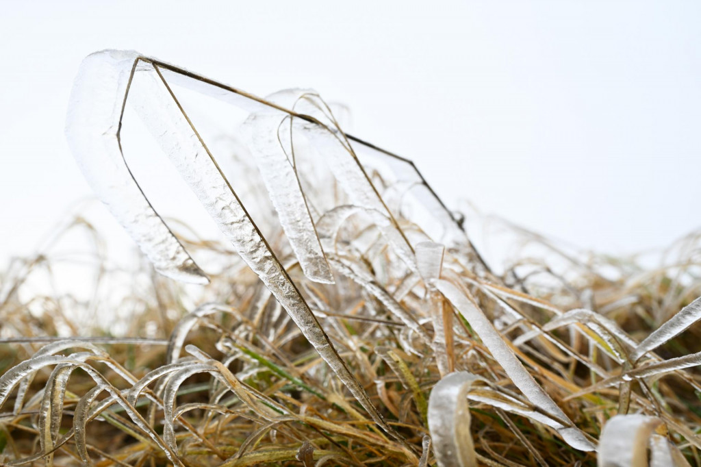 FOTO: TASR/Martin Medňansk&yacute;