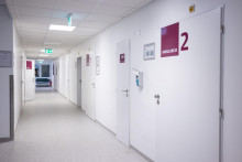 Ilustračn&aacute; fotografia