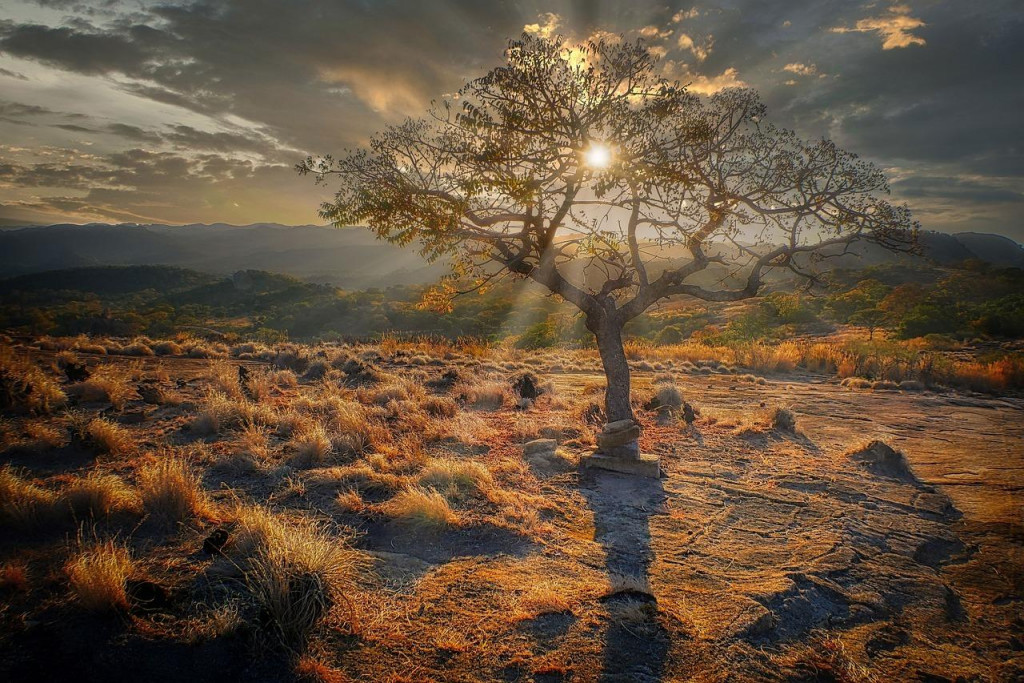 M&iacute;ny v Zimbabwe zab&iacute;jaj&uacute; aj desaťročia po vojne. FOTO: Pixabay