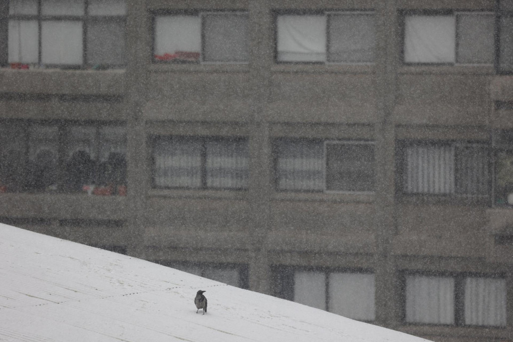 FOTO: Reuters