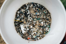 Niet poch&yacute;b o v&scaron;adepr&iacute;tomnosti plastov&eacute;ho znečistenia v pr&iacute;rode, ale vedci pochybuj&uacute; o po&scaron;koden&iacute; zdravia.
