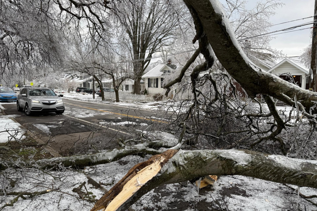 Spadnut&yacute; strom v d&ocirc;sledku snehovej b&uacute;rky v meste Nashville. FOTO: TASR/AP