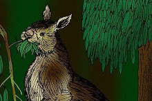 Klokan Procoptodon goliah v predstave umelca