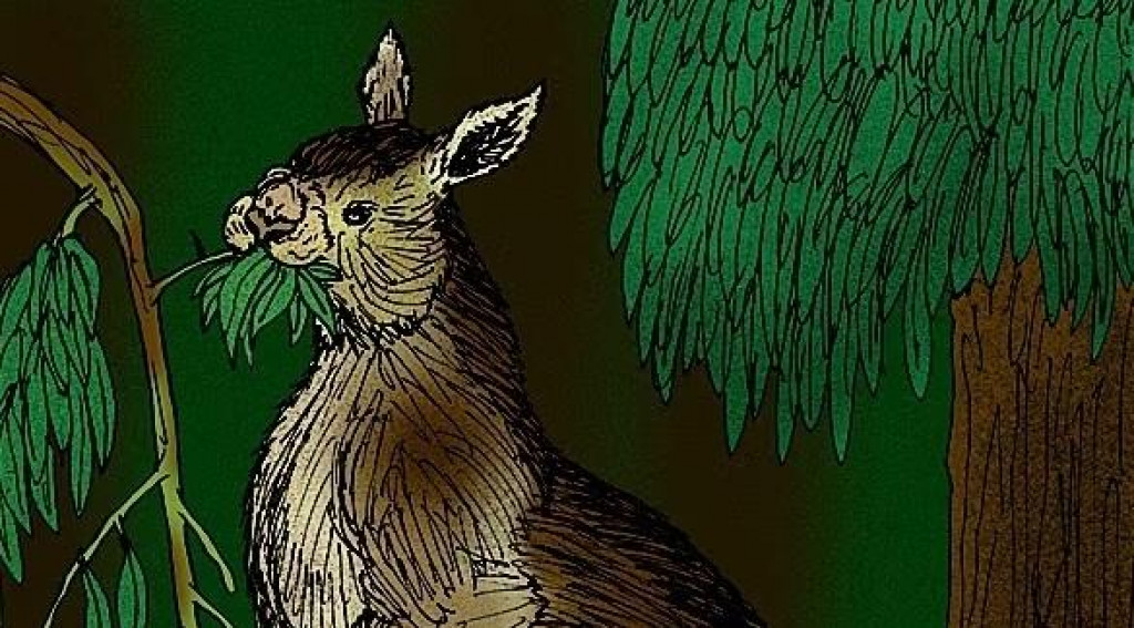 Klokan Procoptodon goliah v predstave umelca