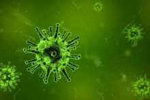 Epidemiol&oacute;govia sa ob&aacute;vaj&uacute; ne&scaron;ťastn&eacute;ho s&uacute;behu okolnost&iacute;.