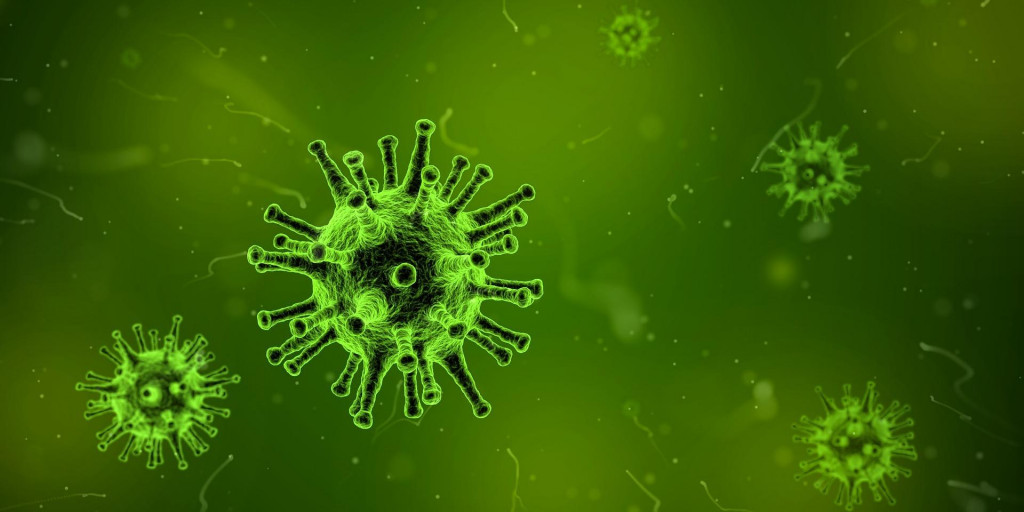 Epidemiol&oacute;govia sa ob&aacute;vaj&uacute; ne&scaron;ťastn&eacute;ho s&uacute;behu okolnost&iacute;.