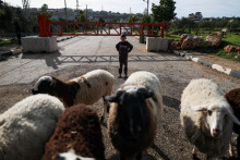 Osemročn&yacute; Palest&iacute;nčan Mohammed Anwar Awda stoj&iacute; pri zatvorenej izraelskej br&aacute;ne v Kasre na Izraelom okupovanom Z&aacute;padnom brehu Jord&aacute;nu. FOTO: Reuters