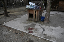 &bdquo;Je to stra&scaron;n&eacute;. Psy boli roztrhan&eacute; &scaron;rapnelmi, k&uacute;sky ich tiel sa zachytili na oploten&iacute;,&ldquo; uviedla jedna z dobrovoľn&iacute;čok. FOTO: REUTERS