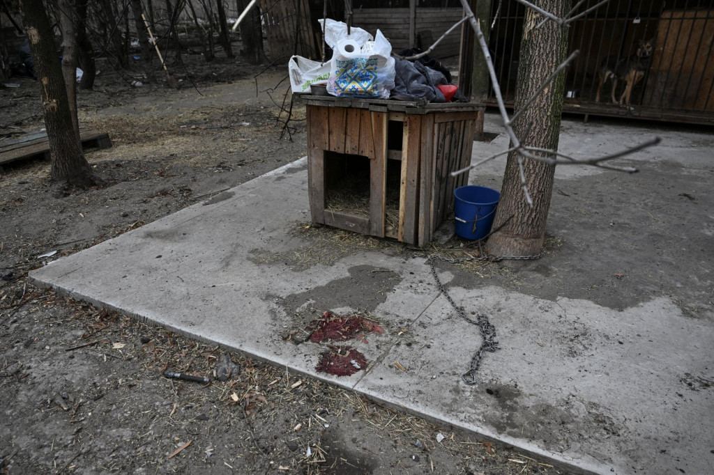 &bdquo;Je to stra&scaron;n&eacute;. Psy boli roztrhan&eacute; &scaron;rapnelmi, k&uacute;sky ich tiel sa zachytili na oploten&iacute;,&ldquo; uviedla jedna z dobrovoľn&iacute;čok. FOTO: REUTERS