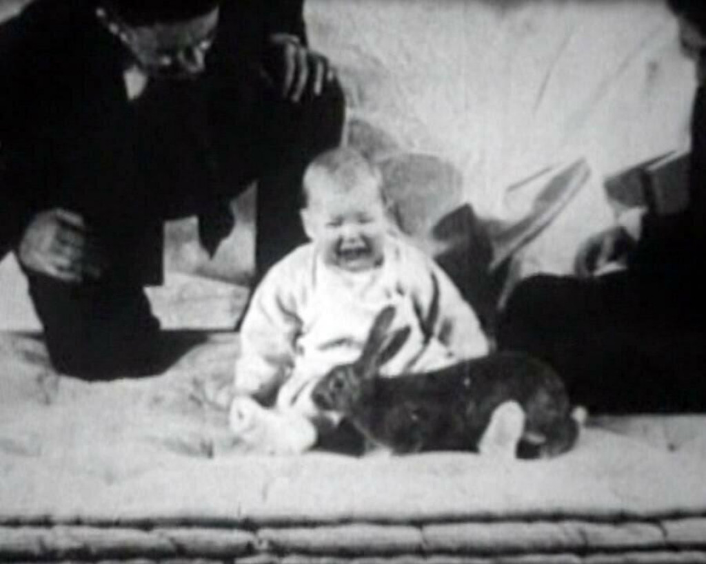 Vedci z&aacute;merne desili 9-mesačn&eacute; dieťa a otestovali, či sa zlom&iacute;