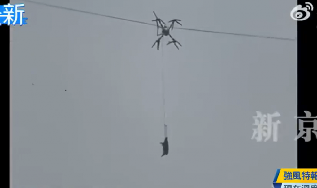 Tento &bdquo;experiment&ldquo; skončil &uacute;pln&yacute;m fiaskom...