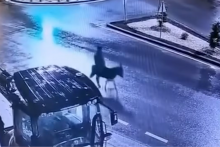 Bizarn&aacute; l&uacute;pež v Turecku.