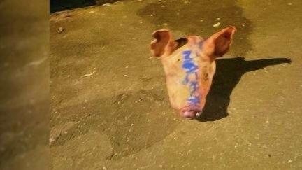 V Srbsku odsúdili tri osoby, ktoré mali minulý rok nechať prasacie hlavy pred mešitami vo Francúzsku