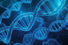 Slovensk&aacute; spoločnosť lek&aacute;rskej genetiky sa chce v tomto roku venovať aj t&eacute;me legislat&iacute;vneho rie&scaron;enia archiv&aacute;cie vzoriek DNA.