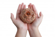 Produkty z konjaku maj&uacute; minimum kal&oacute;ri&iacute;.