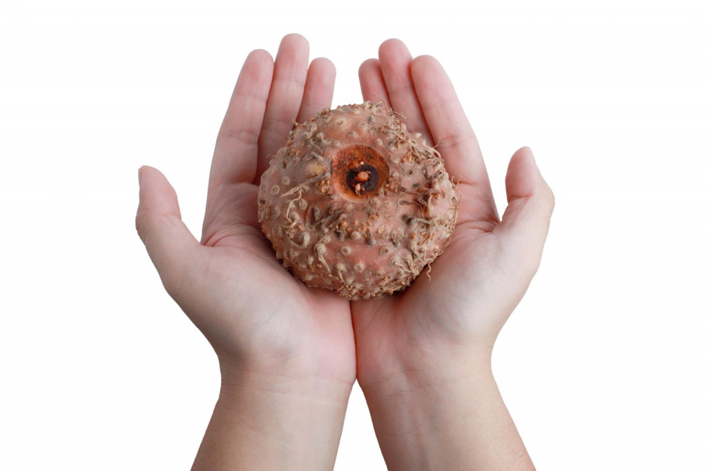 Produkty z konjaku maj&uacute; minimum kal&oacute;ri&iacute;.