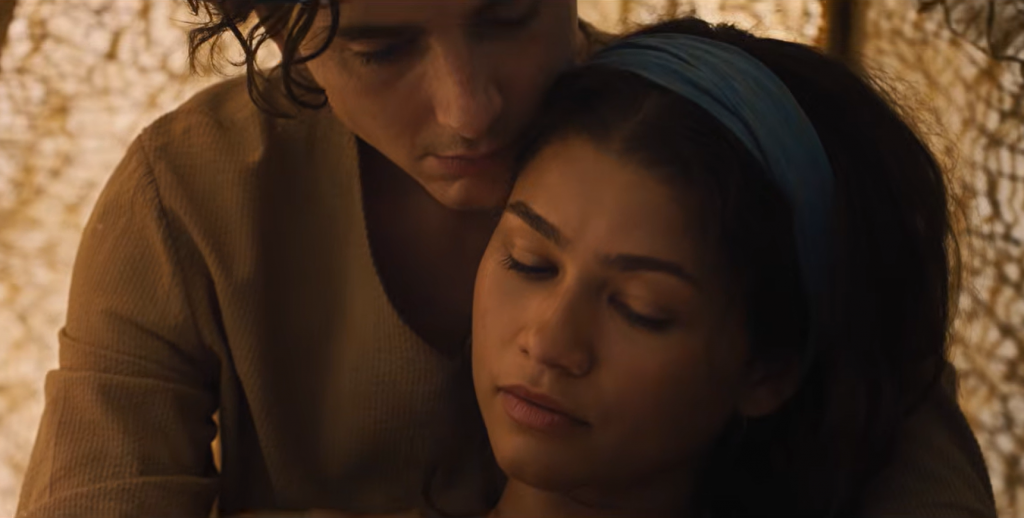 N&aacute;vrat Chalameta a Zendayi.