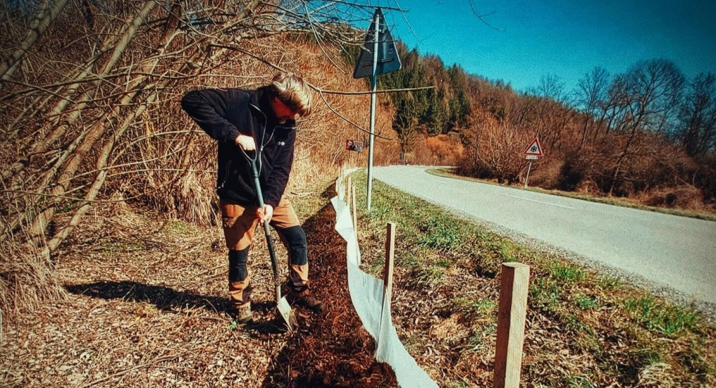 Obojživeln&iacute;ky sa vyd&aacute;vaj&uacute; na svoju nebezpečn&uacute; p&uacute;ť za rozmnožovan&iacute;m.