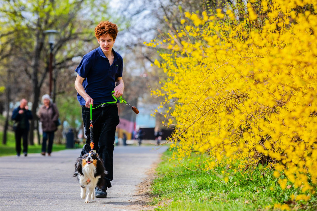 Takto vyzeralo dne&scaron;n&eacute; popoludnie v bratislavskom Sade Janka Kr&aacute;ľa. Zajtra sa počasie v&yacute;razne otoč&iacute;. FOTO: Spodniakov&aacute; Miroslava/HN