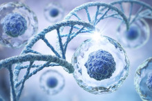 Poč&uacute;vali ste na biol&oacute;gii pozorne?