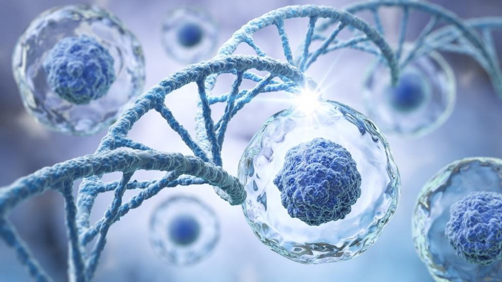 Poč&uacute;vali ste na biol&oacute;gii pozorne?