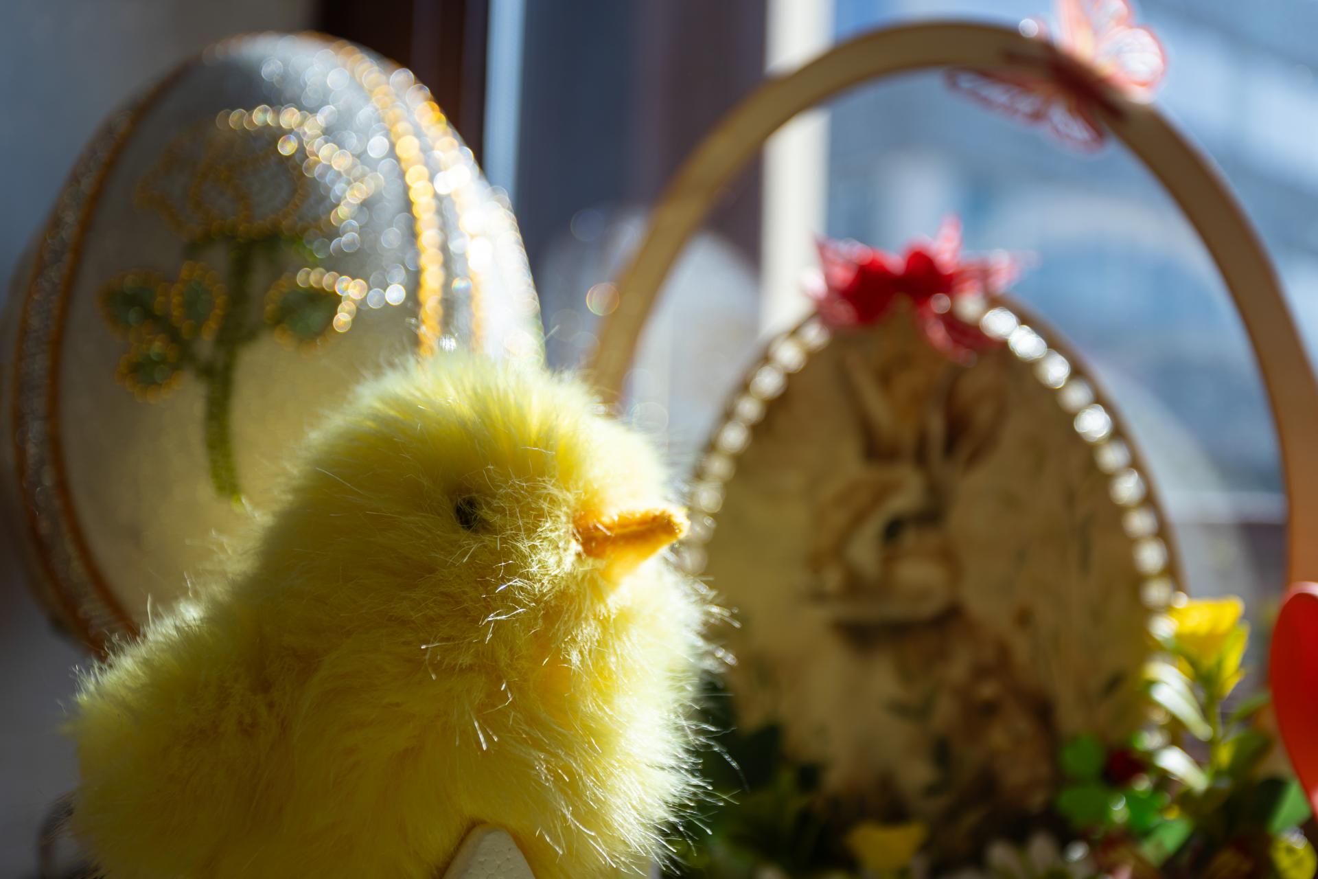 Veľkonočné sviatky vyjdú drahšie. Priplatíme si za nákup aj tankovanie, zdražela najmä čokoláda