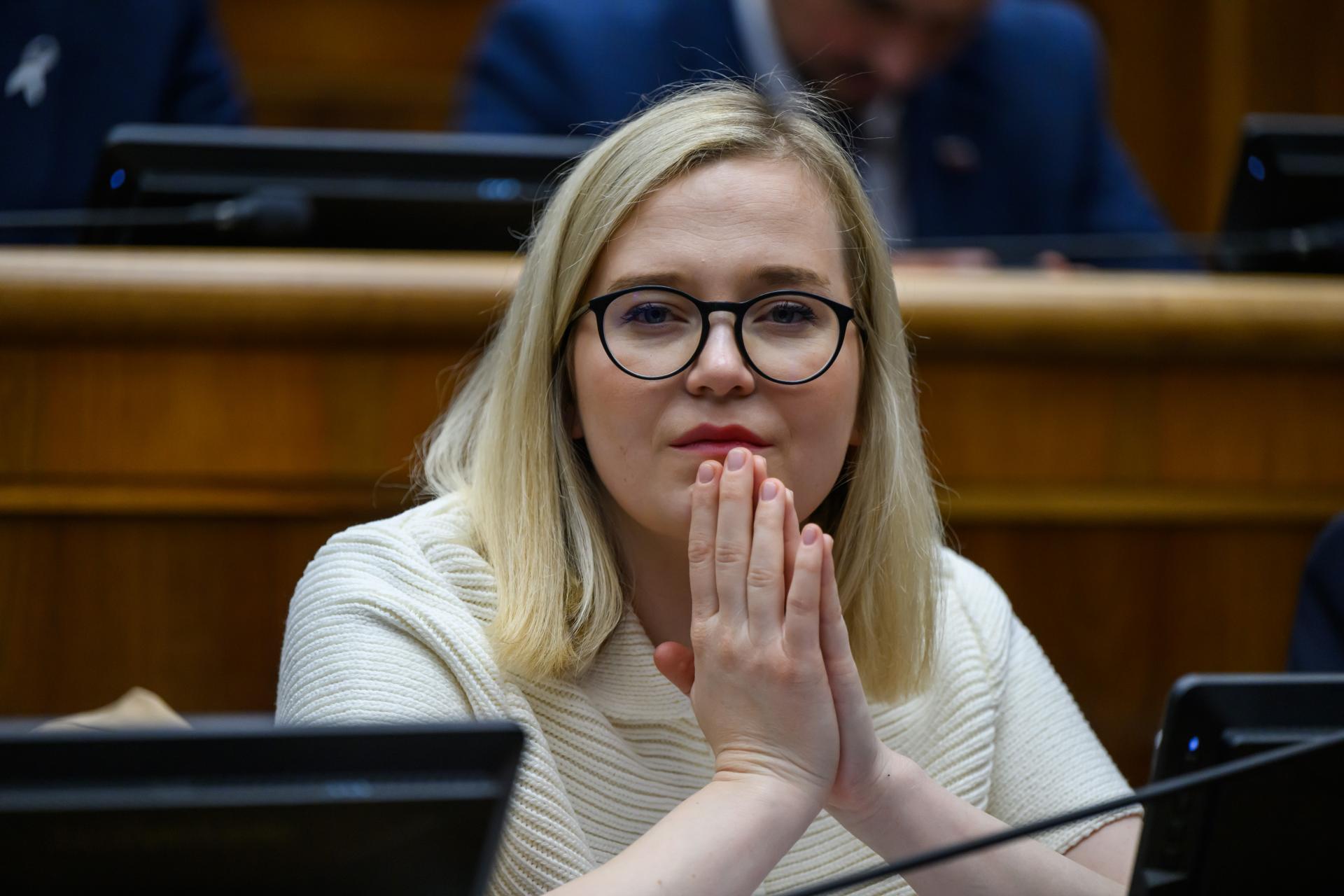 SaS chce materské pre policajtov a vojakov, reaguje na ústavný súd