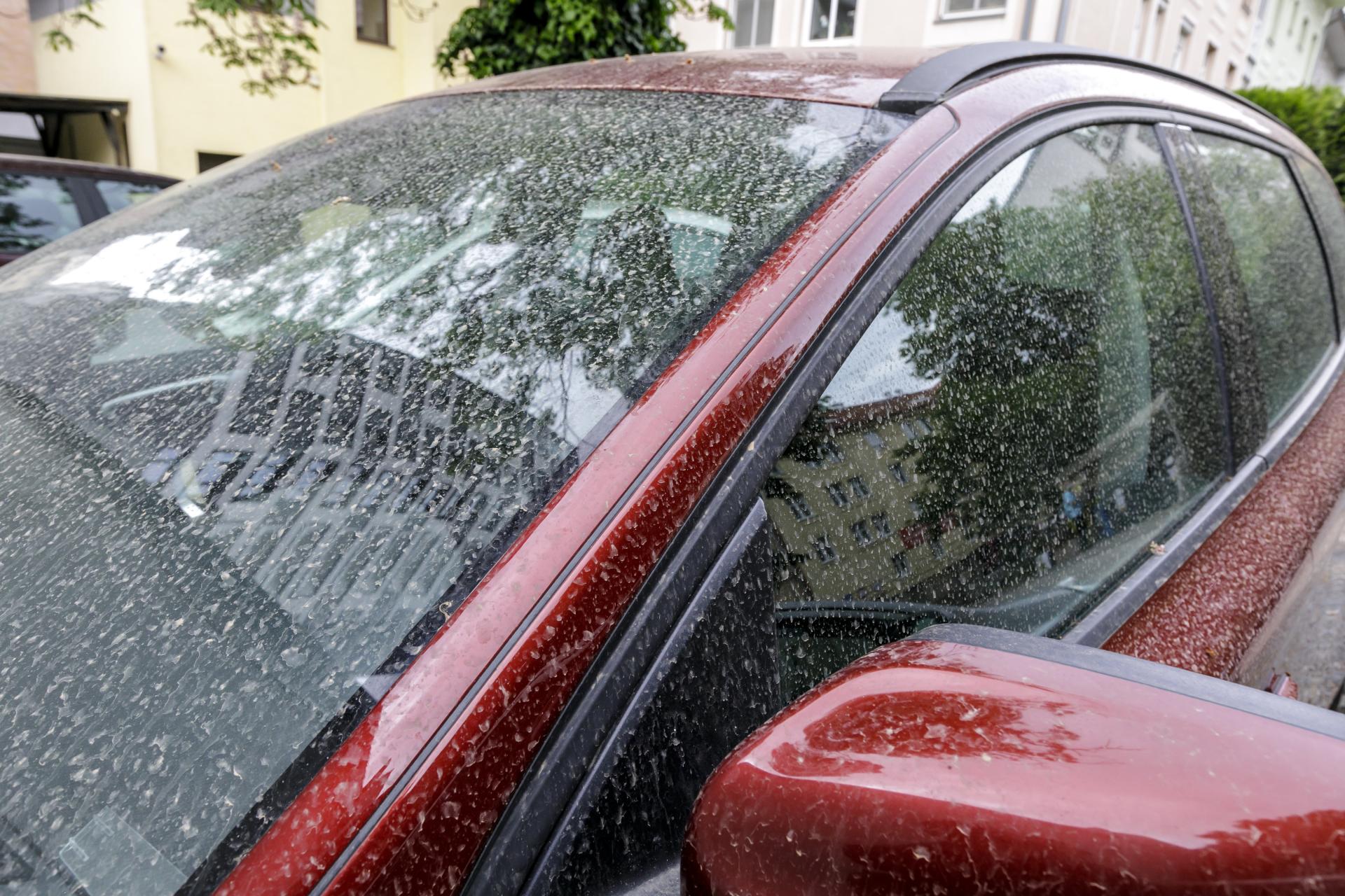Na Slovensko prich&aacute;dza veľa saharsk&eacute;ho prachu. M&ocirc;že sp&ocirc;sobiť krvav&yacute; d&aacute;žď