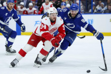 Ľav&eacute; kr&iacute;dlo t&iacute;mu Detroit Red Wings Carter Mazur a obranca t&iacute;mu Tampa Bay Lightning Erik Čern&aacute;k. FOTO: Reuters/Nathan Ray Seebeck