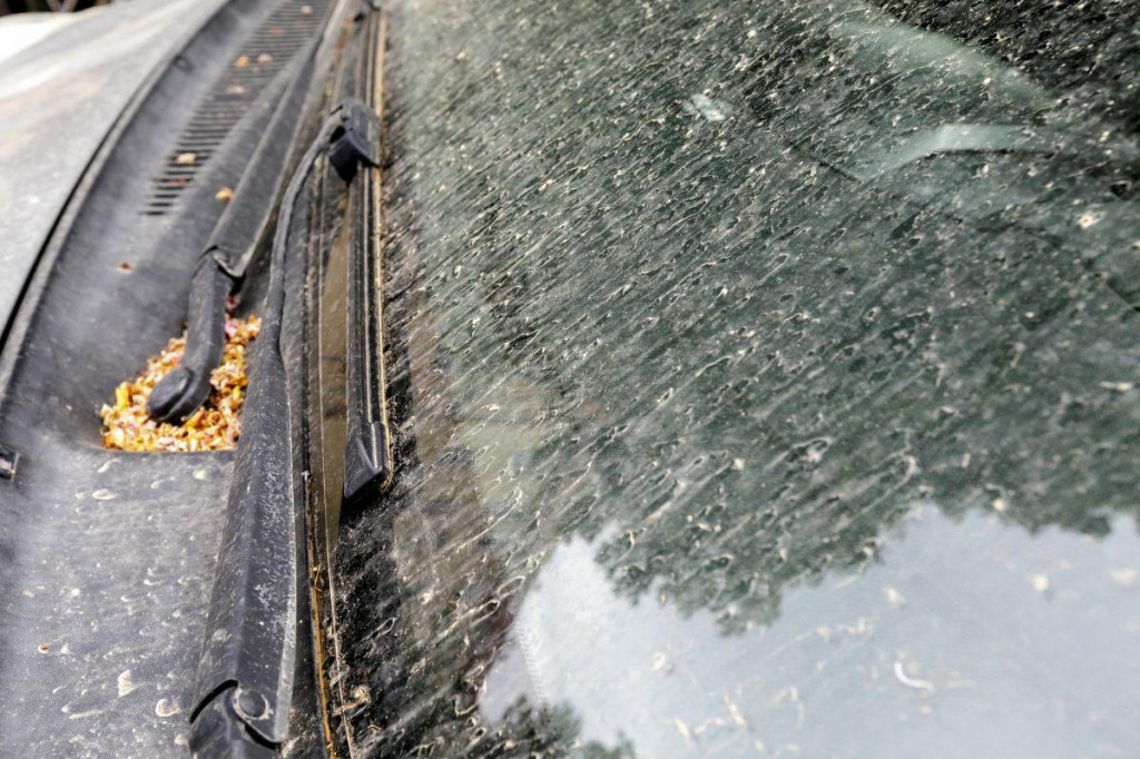 Saharsk&yacute; prach zanech&aacute; stopu na automobiloch.
