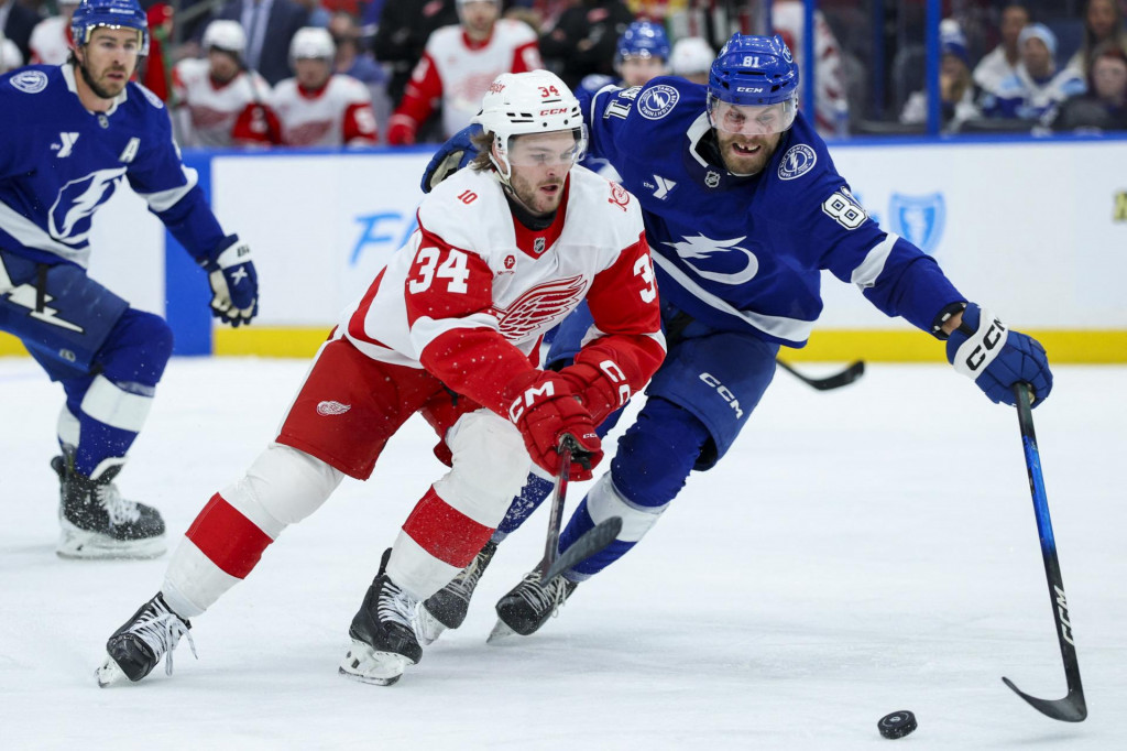 Ľav&eacute; kr&iacute;dlo t&iacute;mu Detroit Red Wings Carter Mazur a obranca t&iacute;mu Tampa Bay Lightning Erik Čern&aacute;k. FOTO: Reuters/Nathan Ray Seebeck