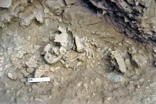 Amud 7, neandert&aacute;lske dieťa, ukazuje, že sa vyv&iacute;jalo r&yacute;chlej&scaron;ie ako modern&iacute; ľudia.