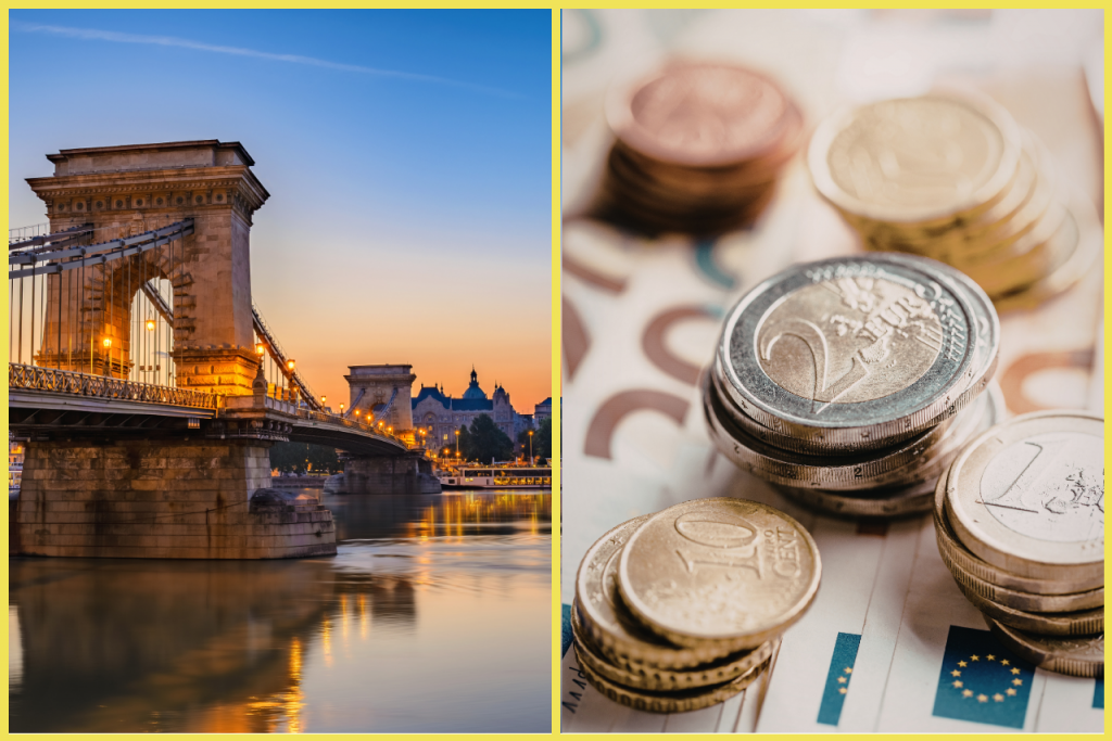 Susedn&aacute; krajina Slovenska chce prijať euro