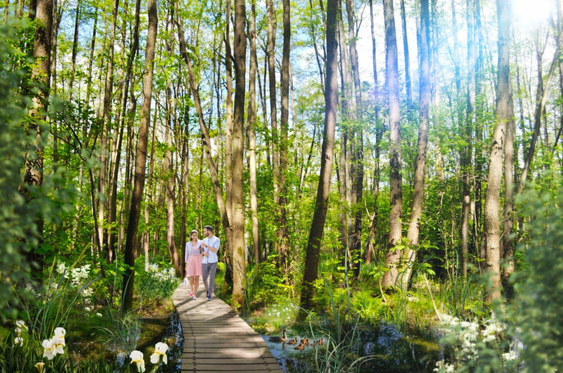 V sobotu sme park otvorili, v nedeľu bol poničen&yacute;, tvrd&iacute; Droba. Vandali pol&aacute;mali dreven&yacute; n&aacute;učn&yacute; chodn&iacute;k