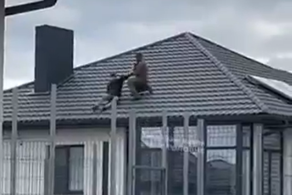 VIDEO: Ukrajinec pred náborárom utiekol na strechu, obaja sa zrútili na ďalšieho vojaka