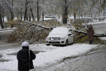 Na osobn&yacute; automobil spadol strom na zasneženej ceste v Moskve. FOTO: TASR/AP