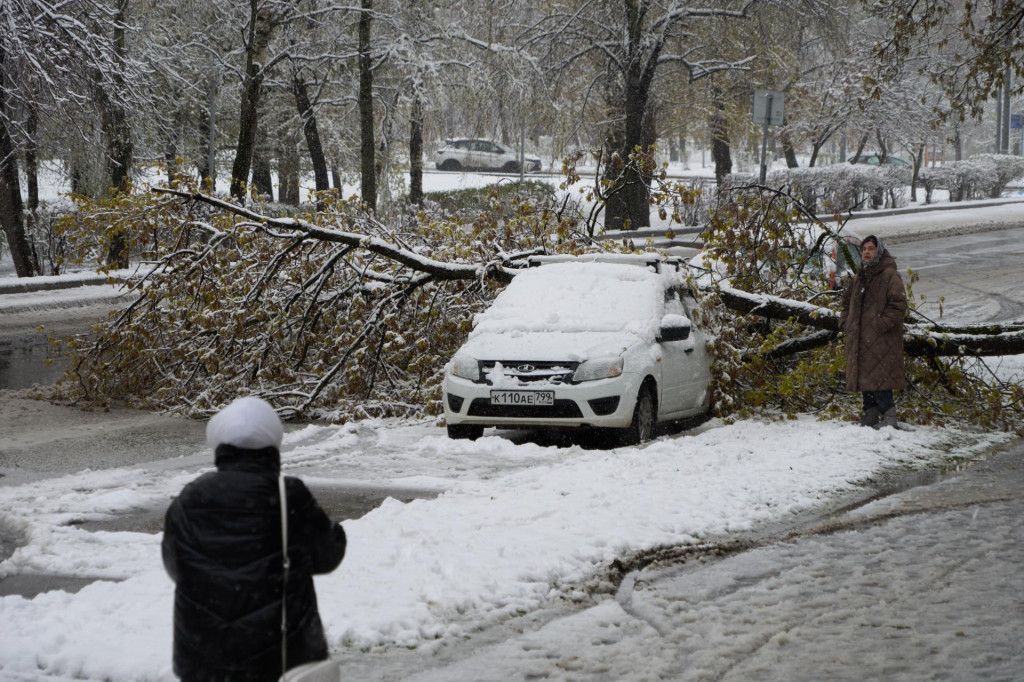 Na osobn&yacute; automobil spadol strom na zasneženej ceste v Moskve. FOTO: TASR/AP