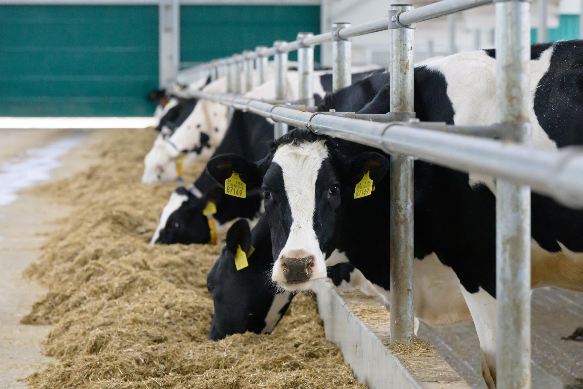 V&yacute;robn&eacute; ceny agrov&yacute;robkov v marci 2026 medziročne klesli