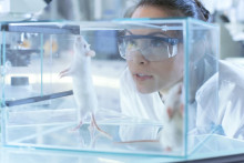 Počet pracovn&iacute;kov v E&Uacute; vo v&scaron;etk&yacute;ch odvetviach viazan&yacute;ch na farmaceutick&yacute; export stabilne r&aacute;stol z 504-tis&iacute;c v roku 2010. FOTO: Shutterstock