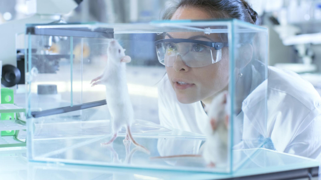 Počet pracovn&iacute;kov v E&Uacute; vo v&scaron;etk&yacute;ch odvetviach viazan&yacute;ch na farmaceutick&yacute; export stabilne r&aacute;stol z 504-tis&iacute;c v roku 2010. FOTO: Shutterstock