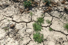 sucho r&ocirc;znej intenzity zasahuje približne 80 percent &uacute;zemia Slovenska, hl&aacute;sia meteorol&oacute;govia. FOTO: TASR/J. Kro&scaron;l&aacute;k