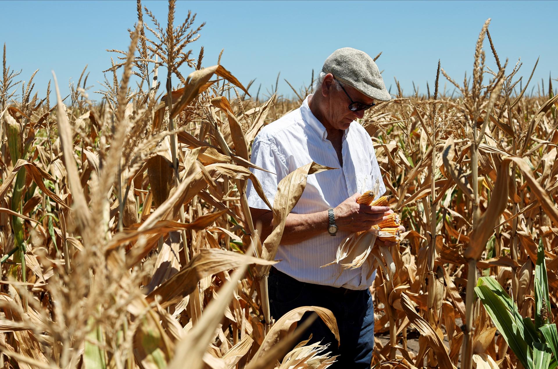 Zem prask&aacute; a farm&aacute;ri už r&aacute;taj&uacute; s najhor&scaron;&iacute;m. Na v&yacute;chode Slovenska hroz&iacute; situ&aacute;cia, ktor&aacute; zabol&iacute; cel&eacute; podniky