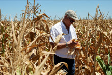 Farm&aacute;ri čelia dilem&aacute;m, kde u&scaron;etriť. ILUSTRAČN&Eacute; FOTO: Reuters