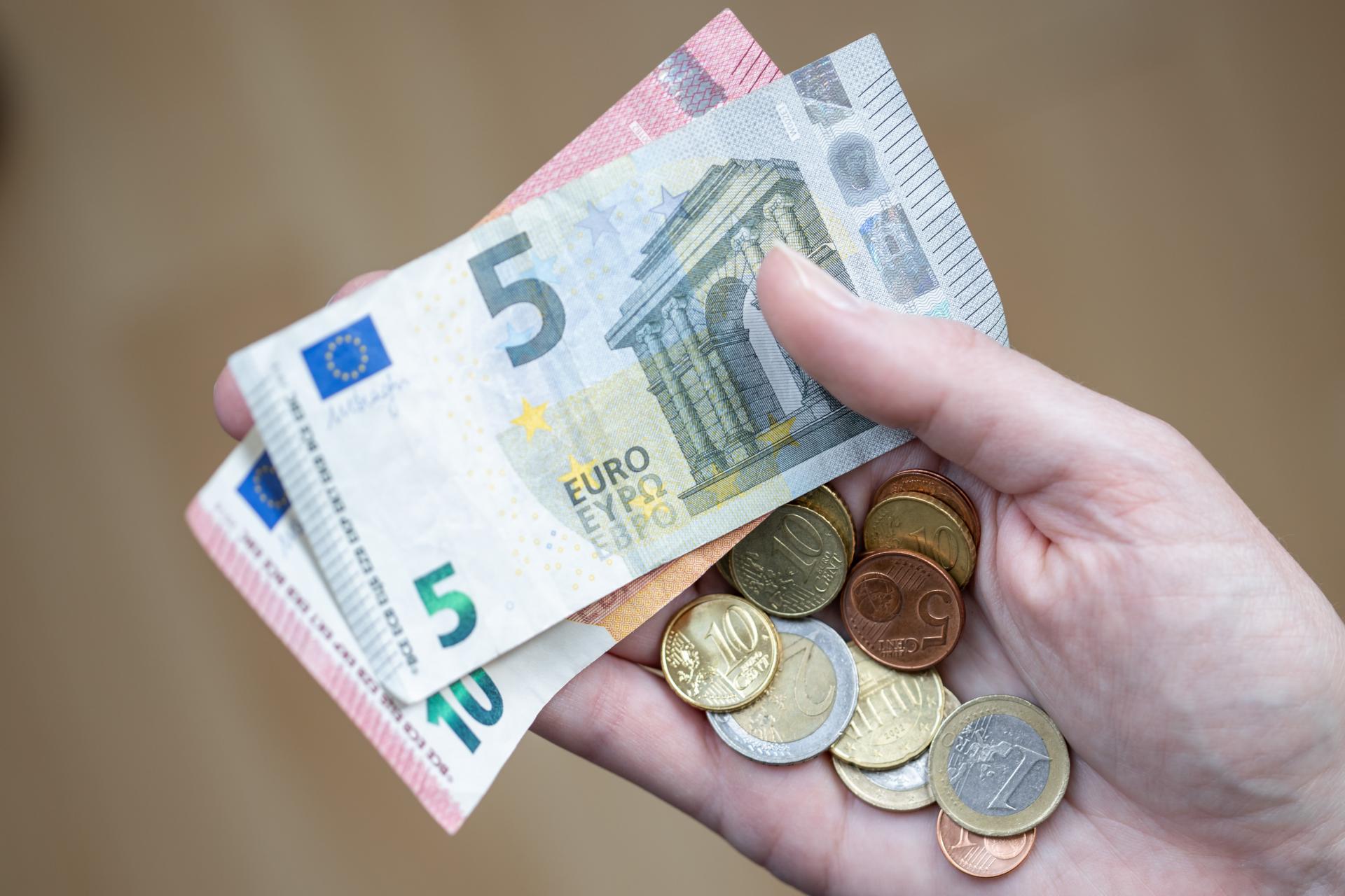 Vy&scaron;e 80 percent slovensk&yacute;ch dom&aacute;cnost&iacute; m&aacute; vy&scaron;&scaron;ie mesačn&eacute; v&yacute;davky