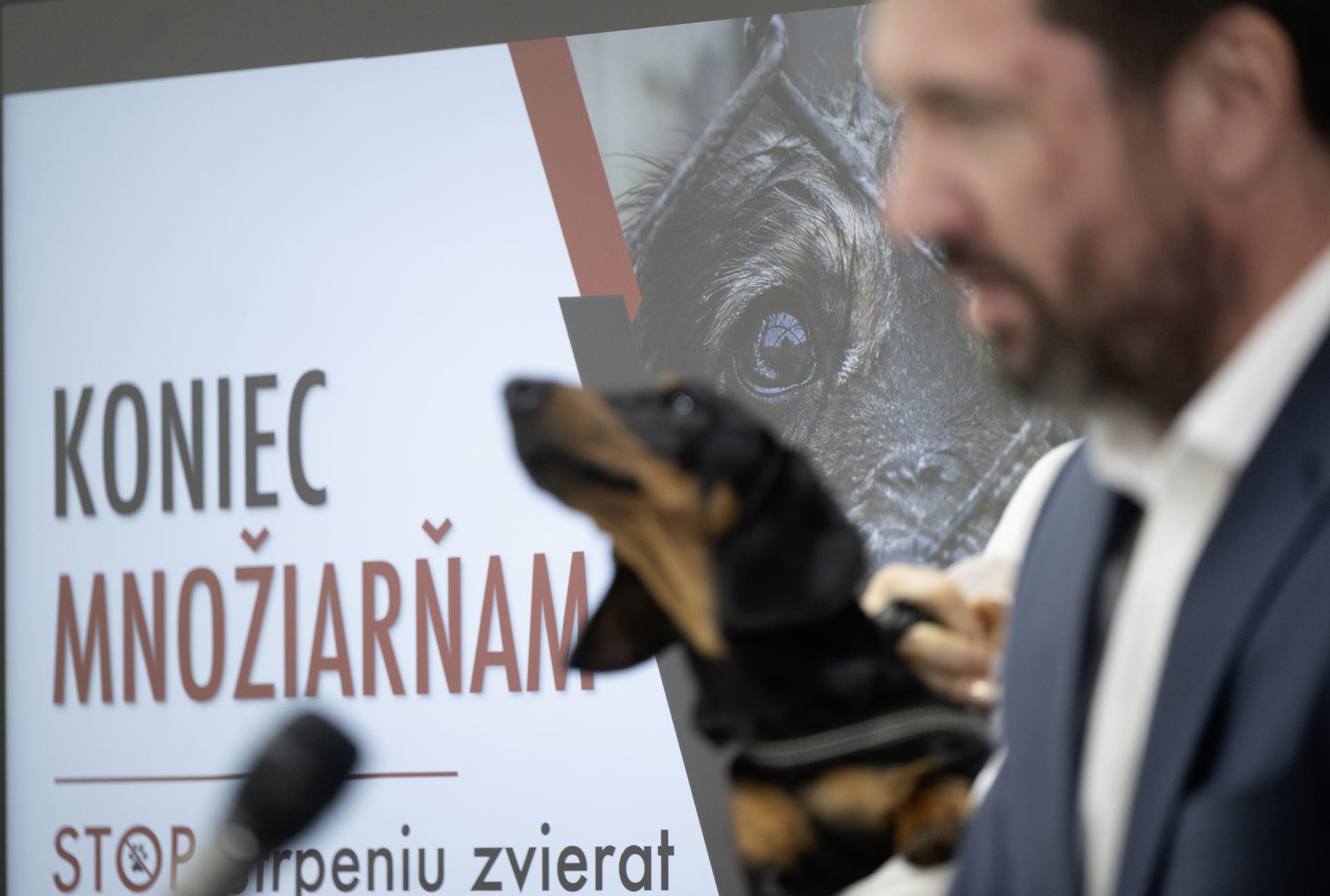 Neetické množenie psov a mačiek bude obmedzené. Zabezpečí sa vyšší štandard chovu, argumentuje agrorezort