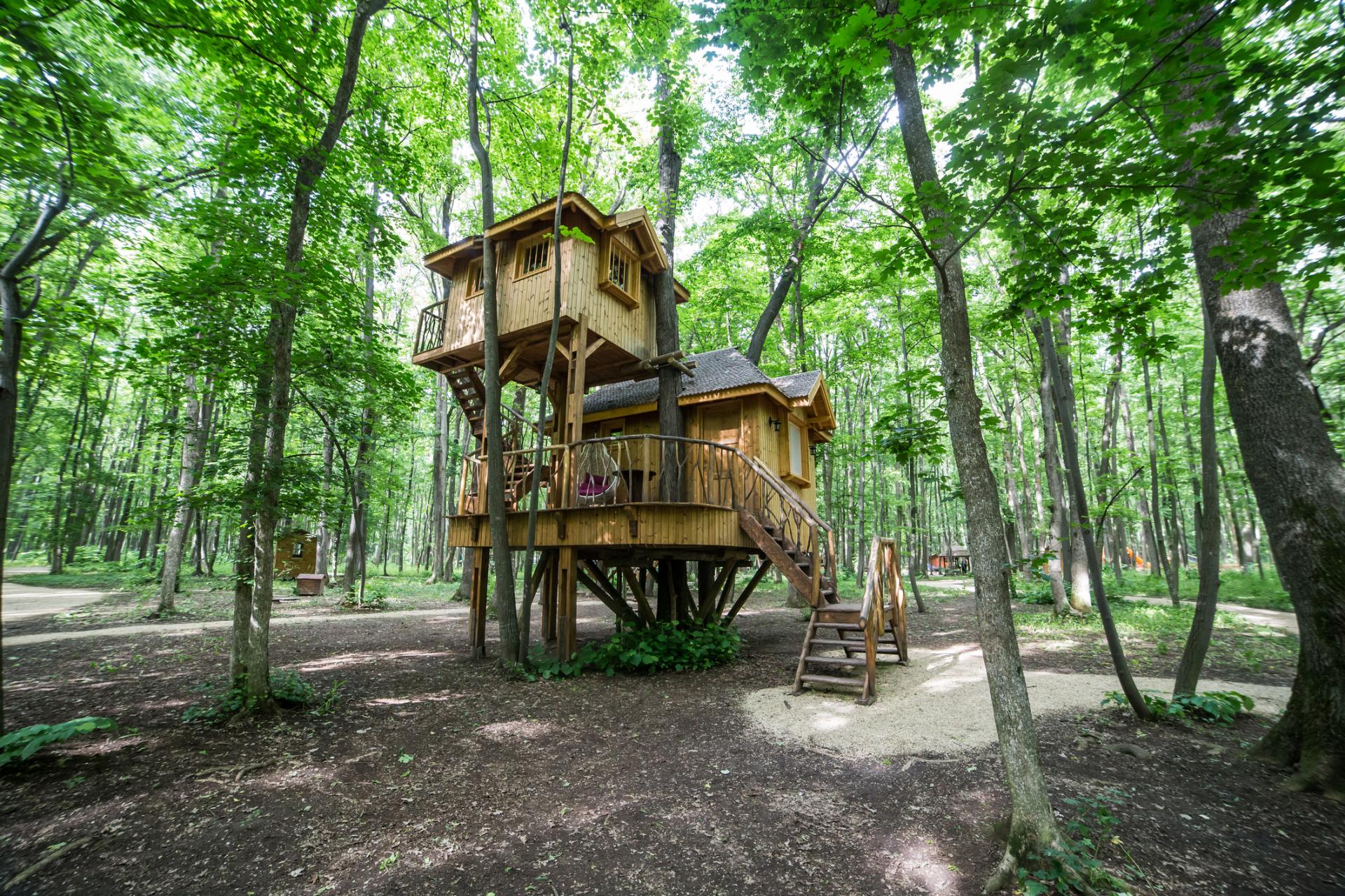 Za noc na strome zaplatíte ako za luxusný hotel. Zážitkové ubytovanie mení predstavu o dovolenke