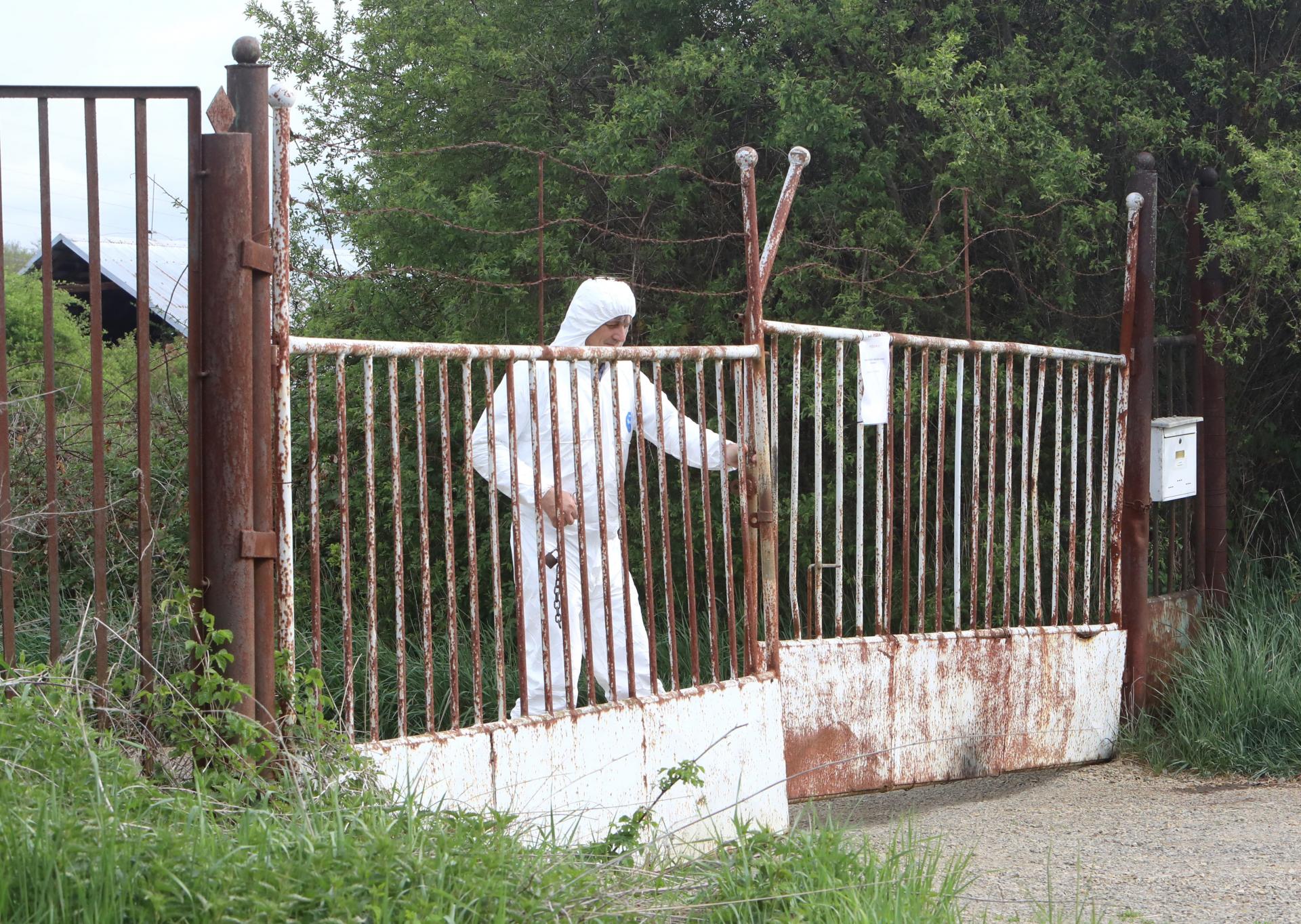 Pre výskyt afrického moru ošípaných vyhlásili v okrese Žiar nad Hronom mimoriadnu situáciu