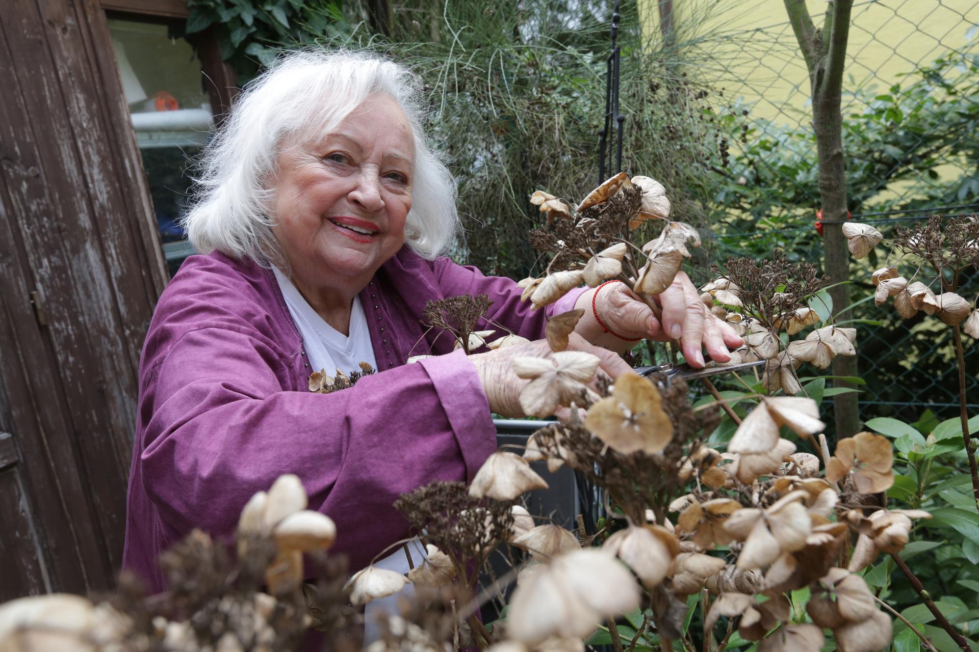 Maja Vel&scaron;icov&aacute; oslavuje 90 rokov. Jubilantka len pred p&aacute;r dňami utrpela nepr&iacute;jemn&yacute; p&aacute;d