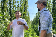 Na sn&iacute;mke zľava predseda družstva Vl&aacute;ra Nem&scaron;ov&aacute; Branislav Židek a v&yacute;konn&yacute; riaditeľ Slovensk&eacute;ho združenia v&yacute;robcov piva a sladu Vladim&iacute;r Machal&iacute;k počas uk&aacute;žky zberu chmeľu. FOTO: TASR/A. Mo&scaron;tkov&aacute;